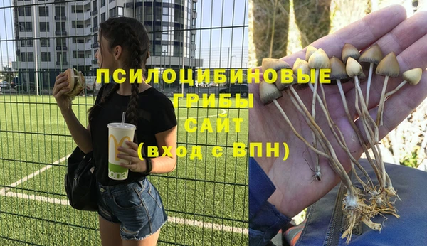 мяу мяу кристалл Армянск